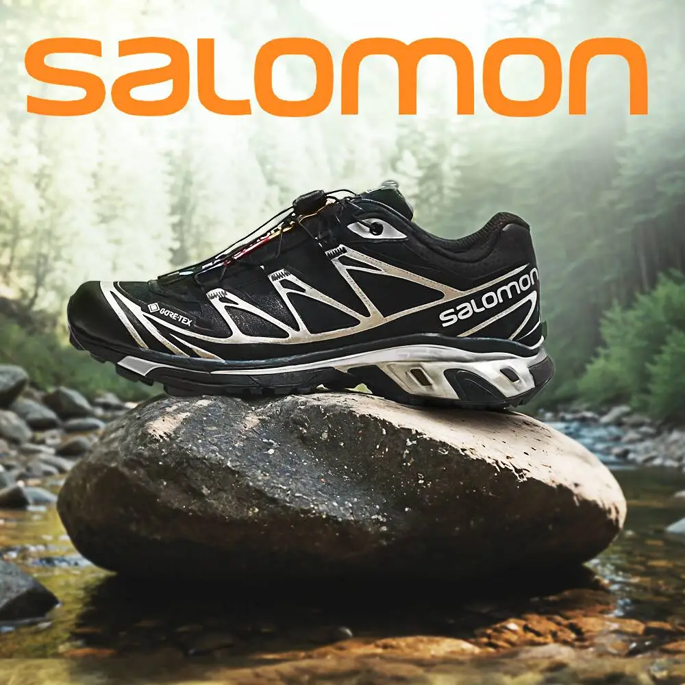 Поступление Salomon